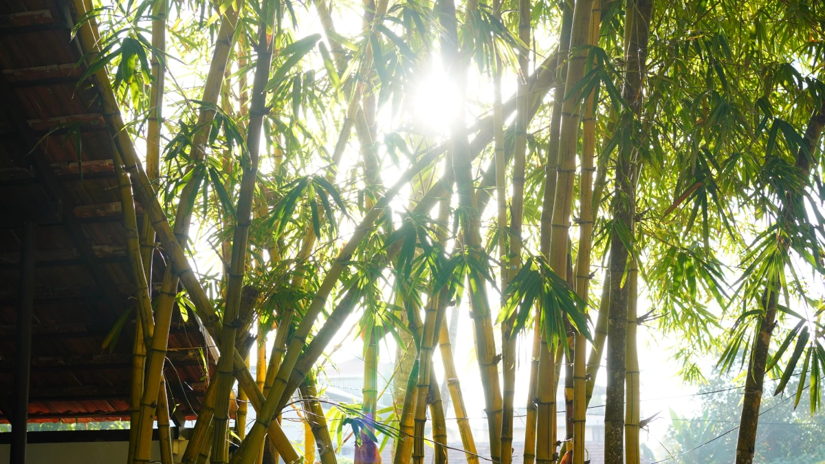 explore wellness retreats retreats